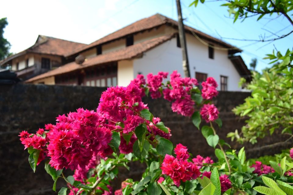 Photo of Hema Koota Homestay, Attihally, Karnataka, India by LonelyCanopy_Art&Travel