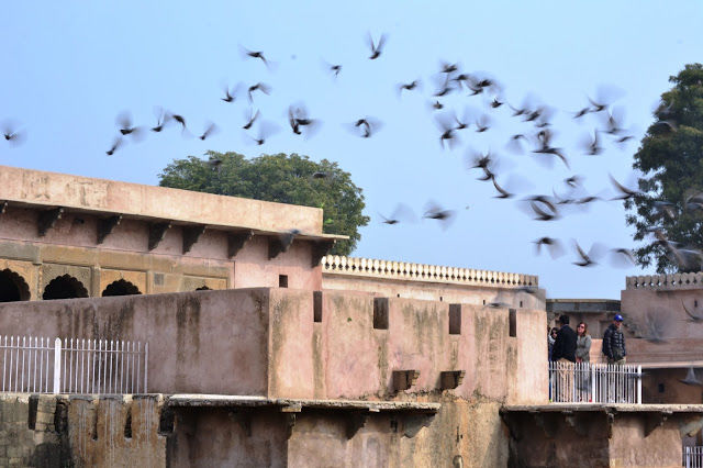 Photo of Abhaneri, Rajasthan, India by LonelyCanopy_Art&Travel