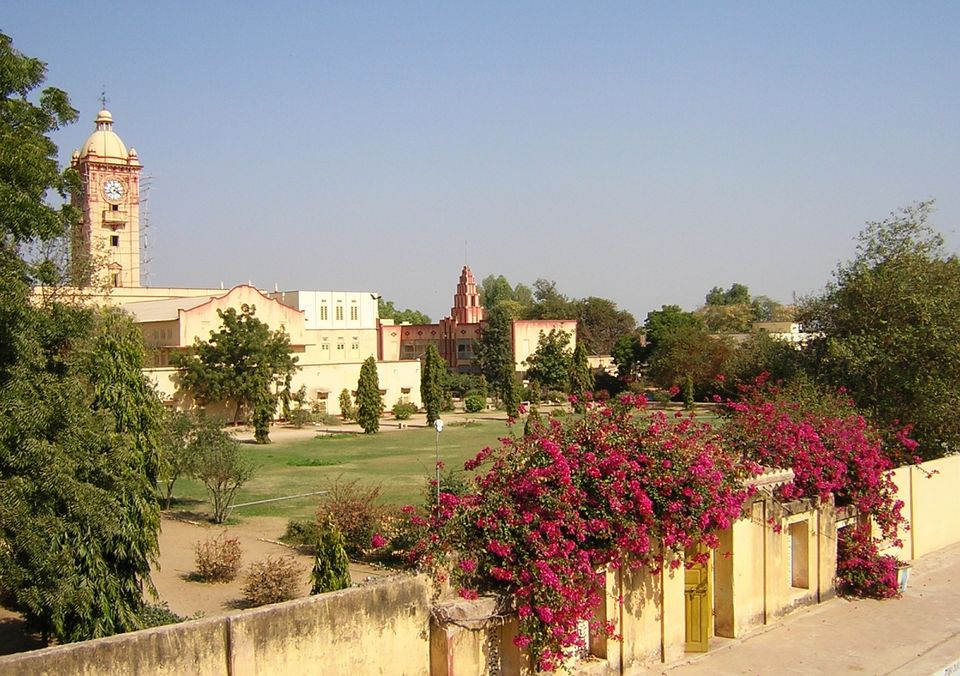 Photo of Nawalgarh, Rajasthan, India by Seema Misra