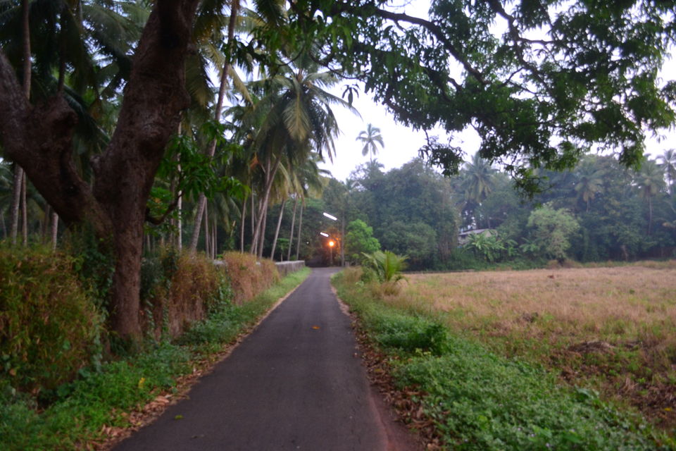 Photo of Best of Goa In Just 4 Days - Islands, Rural Getaway, Churches, and Beach Sunsets by LonelyCanopy_Art&Travel