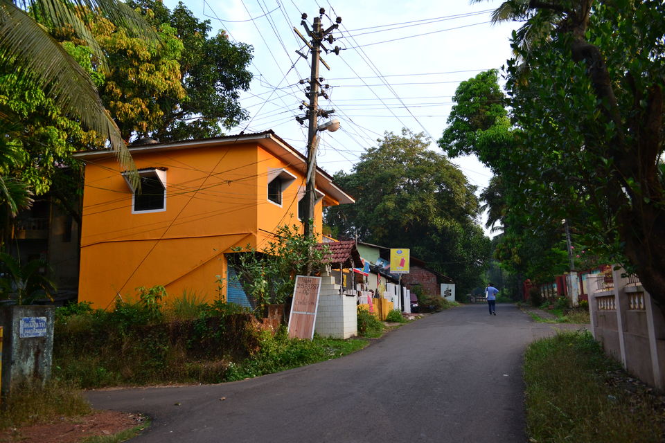 Photo of Best of Goa In Just 4 Days - Islands, Rural Getaway, Churches, and Beach Sunsets by LonelyCanopy_Art&Travel