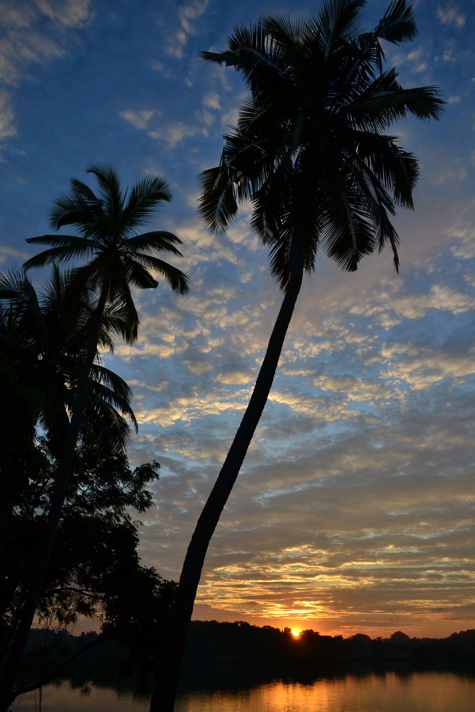 Photo of Best of Goa In Just 4 Days - Islands, Rural Getaway, Churches, and Beach Sunsets by LonelyCanopy_Art&Travel