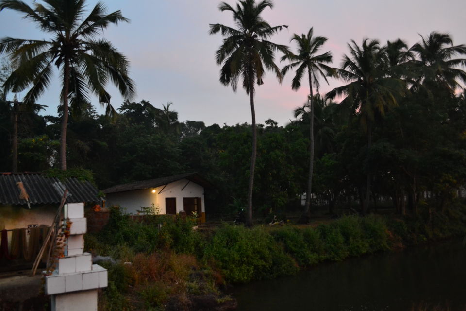 Photo of Best of Goa In Just 4 Days - Islands, Rural Getaway, Churches, and Beach Sunsets by LonelyCanopy_Art&Travel