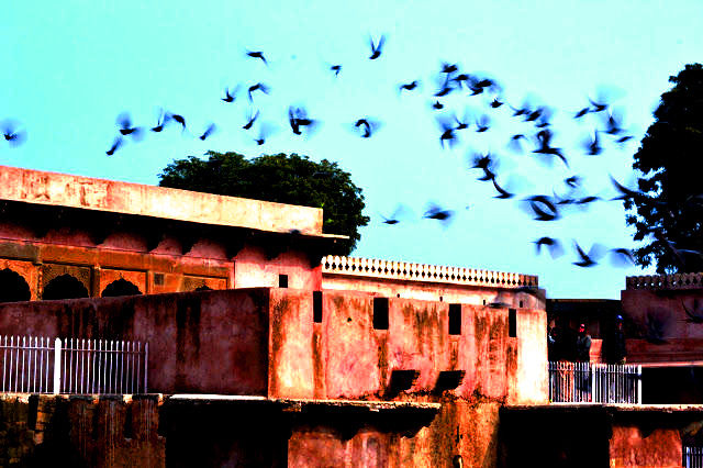 Photo of Chand Baori: A Day Trip to A Mysterious Step Well #rajasthaninphoto by LonelyCanopy_Art&Travel