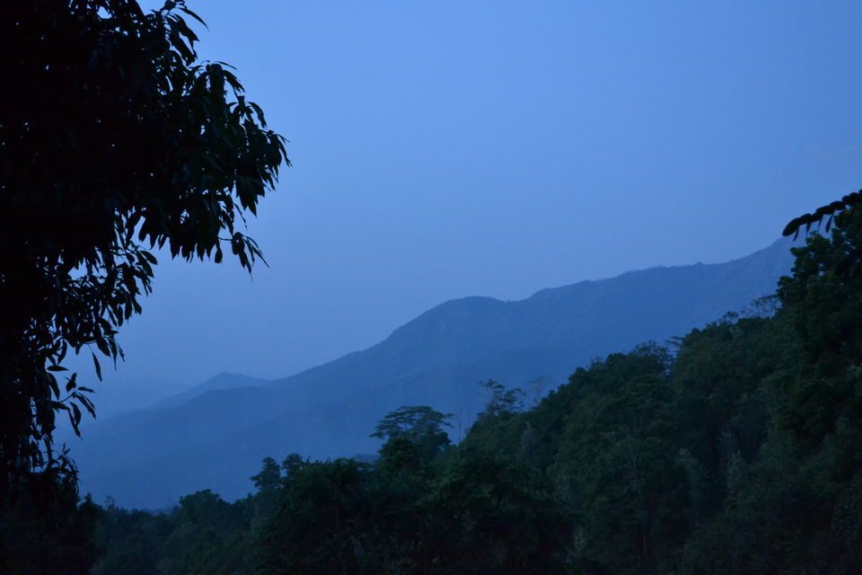 Photo of A Zen Weekend at O'land Plantation, Coonoor by LonelyCanopy_Art&Travel