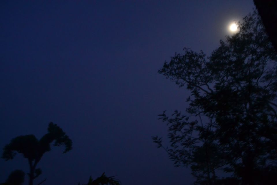 Photo of Christmas Eve at Wonderful Western Hills, Sakleshpur by LonelyCanopy_Art&Travel