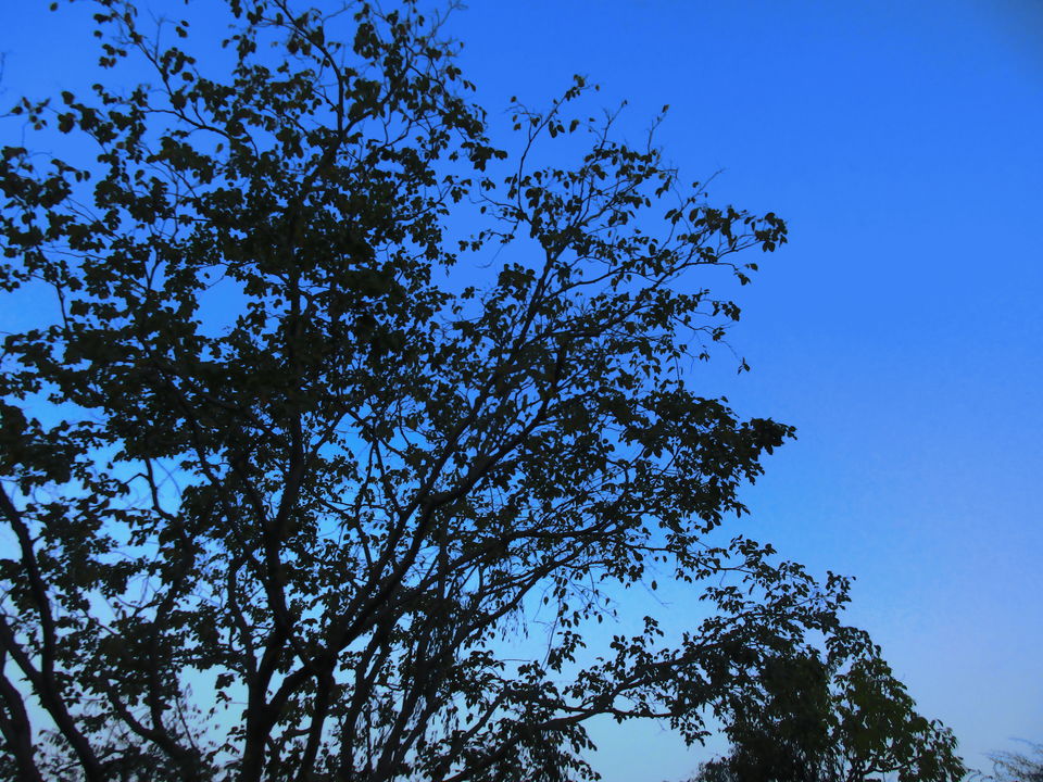 Photo of TGI KAIROS, Mettukaniyur Road, Yelagiri, Tamil Nadu, India by Seema Misra