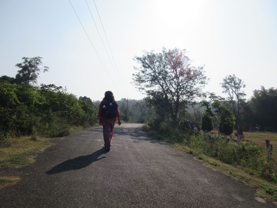 Photo of TGI KAIROS, Mettukaniyur Road, Yelagiri, Tamil Nadu, India by Seema Misra