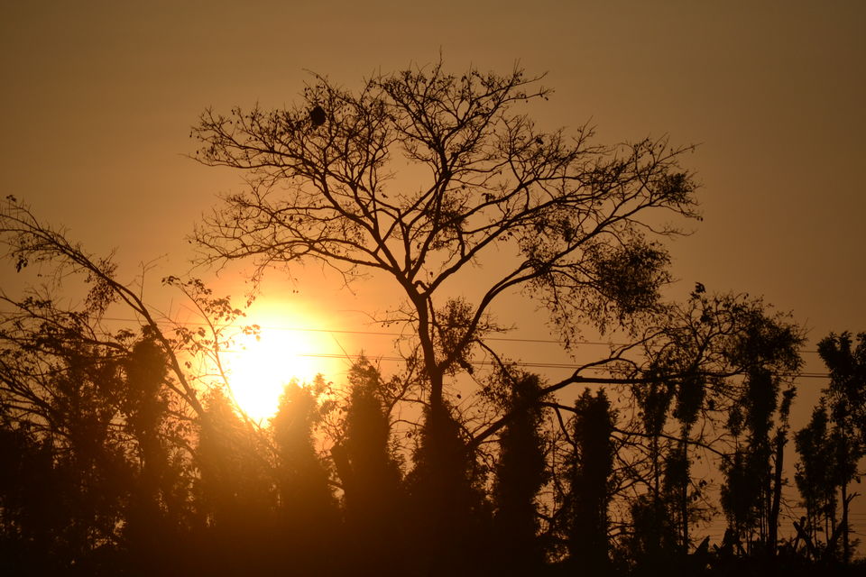 Photo of TGI KAIROS, Mettukaniyur Road, Yelagiri, Tamil Nadu, India by Seema Misra