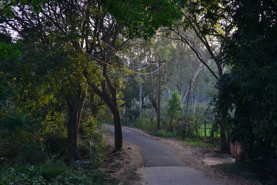 Photo of Offbeat Yelagiri - Weekend Getaway From Bangalore 2/6 by Seema Misra