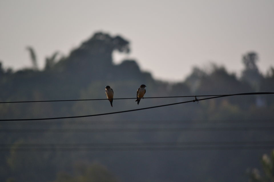 Photo of Offbeat Yelagiri - Weekend Getaway From Bangalore 5/6 by Seema Misra
