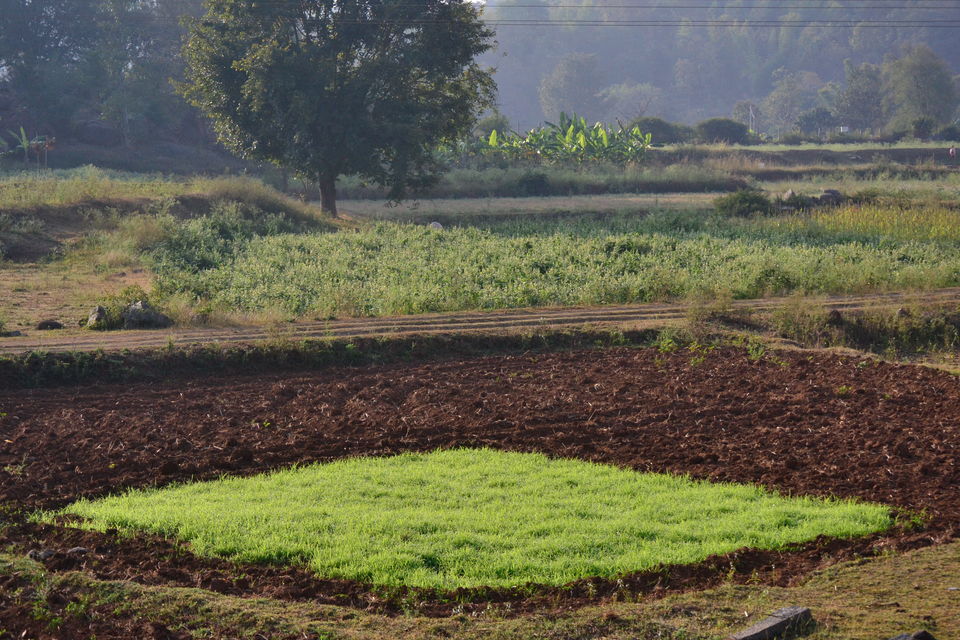 Photo of Offbeat Yelagiri - Weekend Getaway From Bangalore 6/6 by Seema Misra