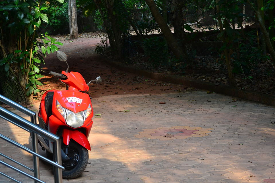 Photo of Matargashti (Aimless Wandering) in Mangalore by Seema Misra