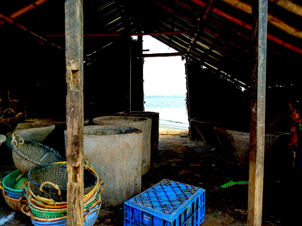 Photo of Matargashti (Aimless Wandering) in Mangalore by Seema Misra