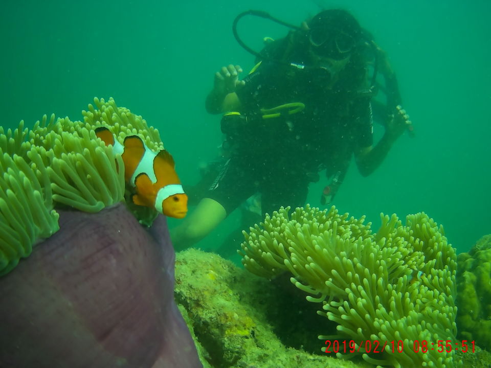 Photo of Havelock Island, Andaman and Nicobar Islands by Aditi Gupta