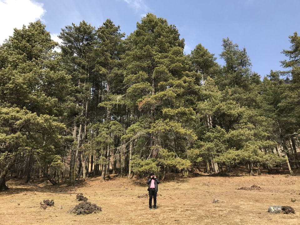 Photo of Phobjikha Valley, Wangdue Phodrang, Bhutan by Aditi Gupta