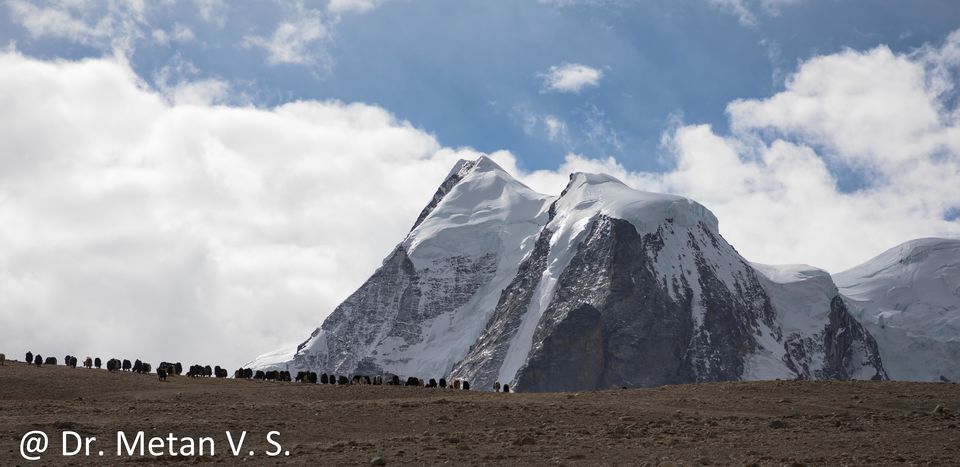 Photo of Sikkim: A real crown of India by Dr. Vyankatesh Metan 4/10 by Dr. Vyankatesh Metan