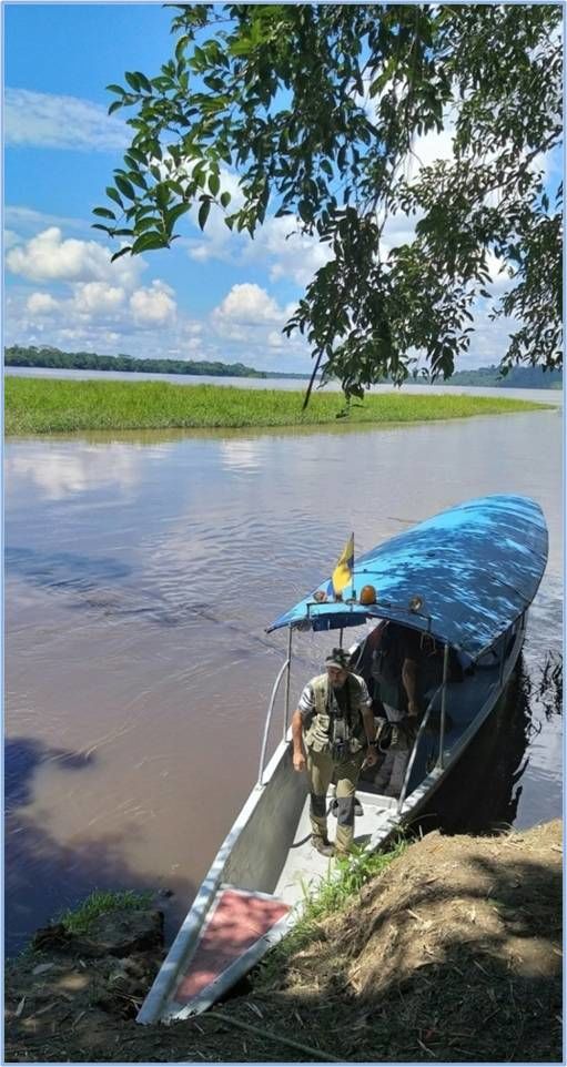 Photo of Journey of Amazing Amazon Rain Forest by Dr. Vyankatesh Metan 19/48 by Dr. Vyankatesh Metan