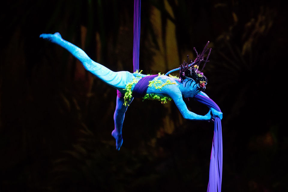 Photo of Best Cirque Du Soleil Shows for Kids in Las Vegas by Las Vegas