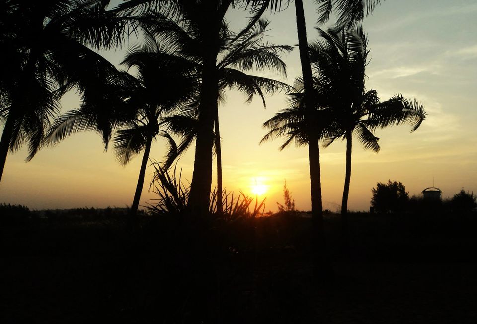 Photo of Miramar, Miramar, Panjim, Goa, India by Smaranika Das