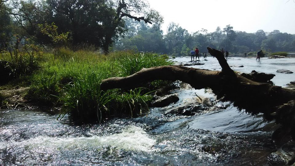 Photo of Coorg: A Blissful Experience 9/12 by Smaranika Das