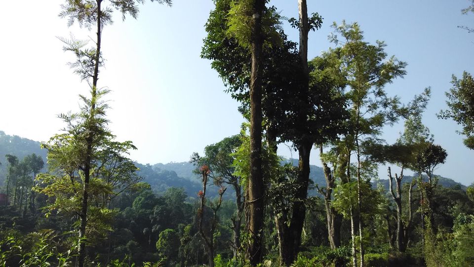 Photo of Coorg: A Blissful Experience 2/12 by Smaranika Das