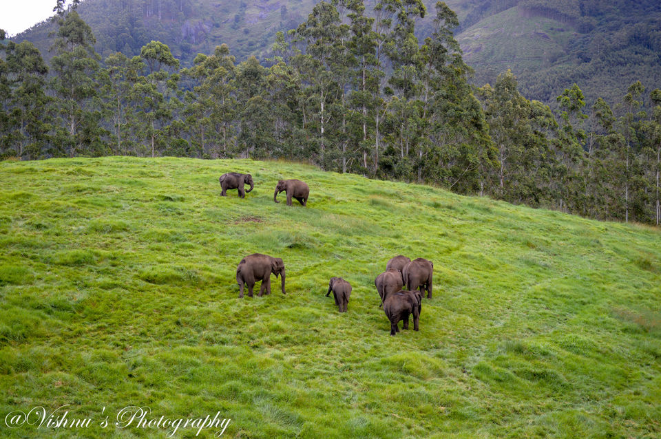 Photo of Kerala- Amalgamated feelings in “God’s Own Country” 11/29 by Smaranika Das