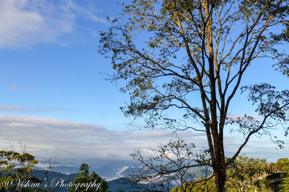 Photo of Kerala- Amalgamated feelings in “God’s Own Country” 16/29 by Smaranika Das