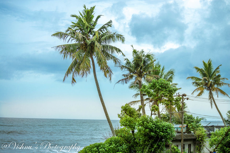 Photo of Kerala- Amalgamated feelings in “God’s Own Country” 24/29 by Smaranika Das