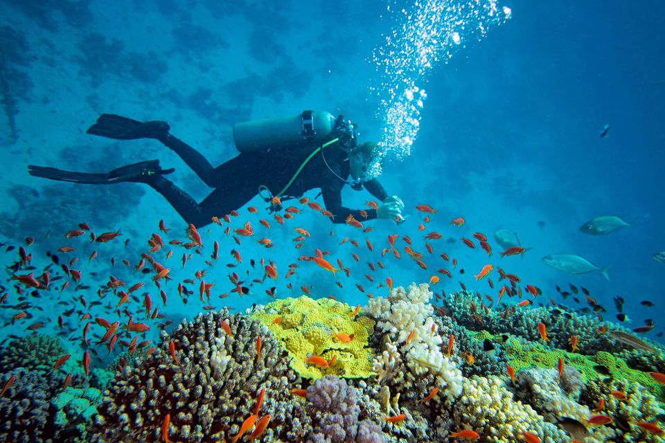 Photo of Exotic Getaways to Indulge in Honeymoon Romance in India 2/7 by Smaranika Das