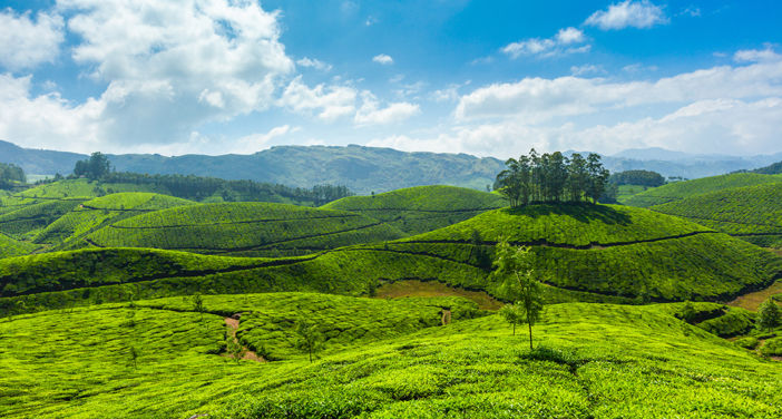 Photo of Explore The Hidden Secret Of Kerala, Wayanad by Smaranika Das