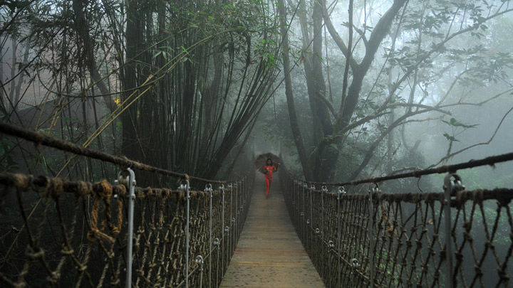 Photo of Explore The Hidden Secret Of Kerala, Wayanad by Smaranika Das