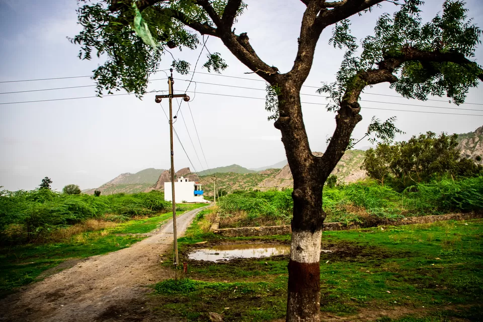Photo of One Day journey of Kumbhalgarh Fort by Kashish Lamba
