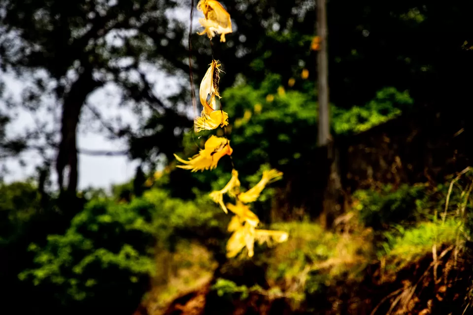 Photo of One Day journey of Kumbhalgarh Fort by Kashish Lamba