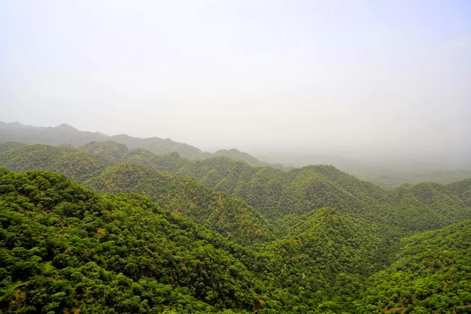 Photo of One Day journey of Kumbhalgarh Fort by Kashish Lamba