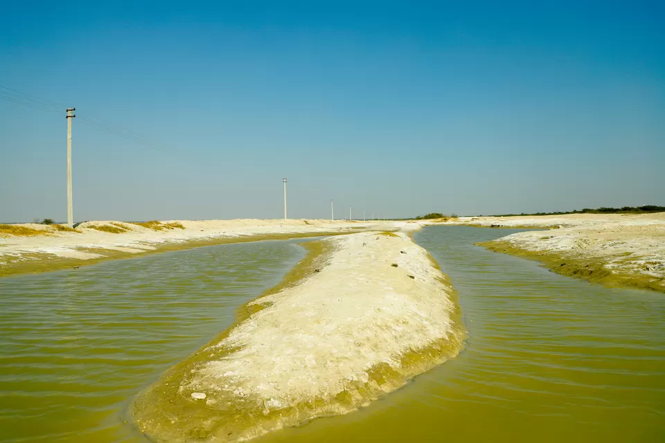 Photo of Sambhar Salt Lake, Rajasthan by Kashish Lamba