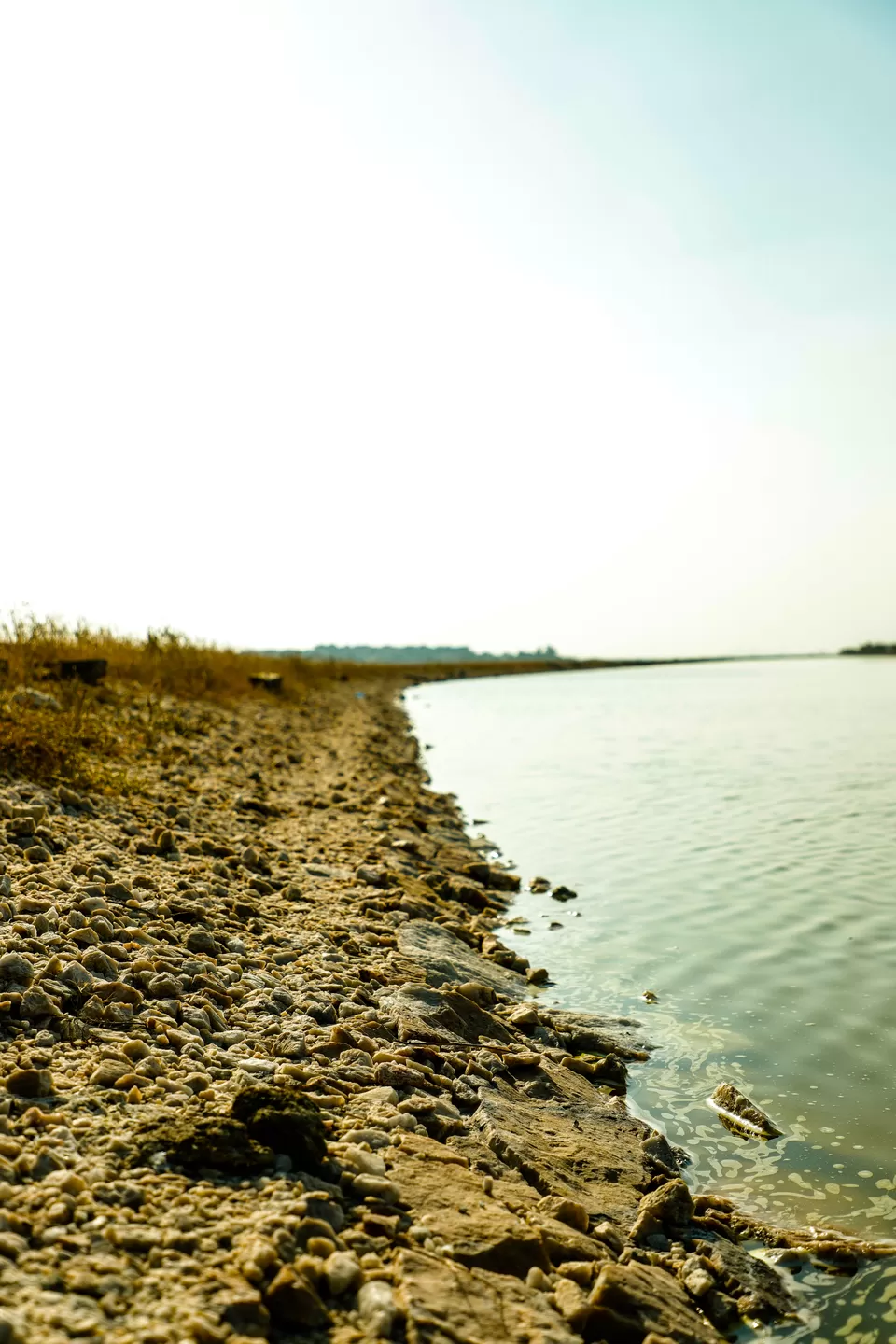Photo of Sambhar Salt Lake, Rajasthan by Kashish Lamba