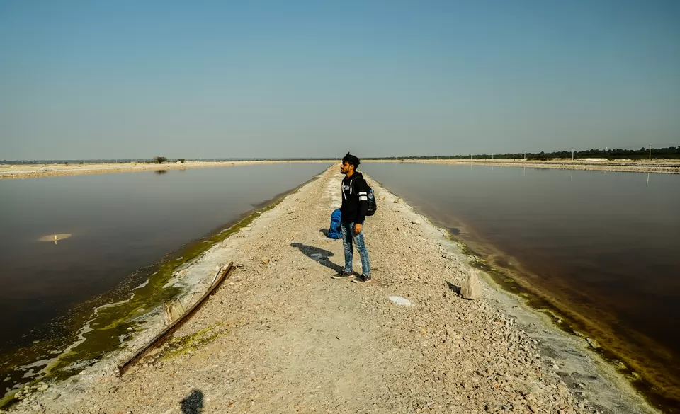 Photo of Sambhar Salt Lake, Rajasthan by Kashish Lamba
