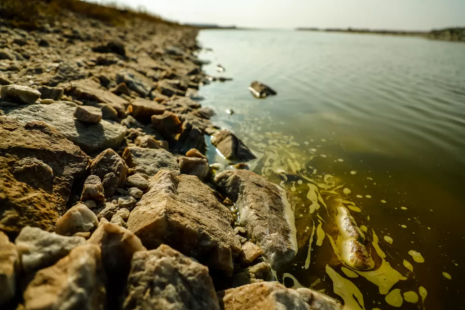 Photo of Sambhar Salt Lake, Rajasthan by Kashish Lamba