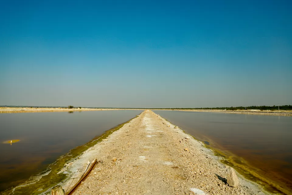 Photo of Sambhar Salt Lake, Rajasthan by Kashish Lamba