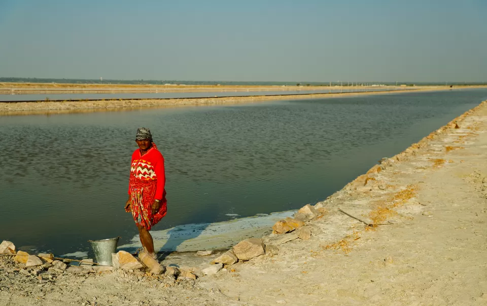 Photo of Sambhar Salt Lake, Rajasthan by Kashish Lamba