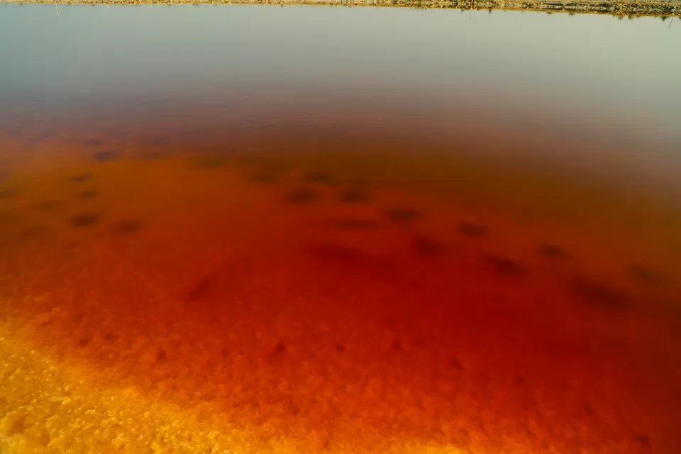 Photo of Sambhar Salt Lake, Rajasthan by Kashish Lamba