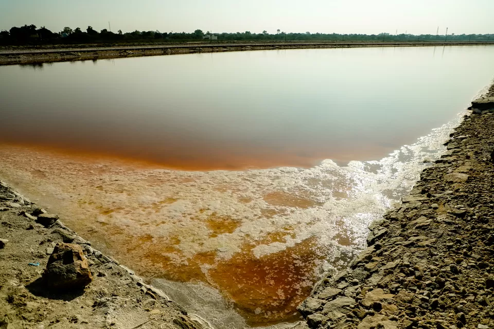 Photo of Sambhar Salt Lake, Rajasthan by Kashish Lamba