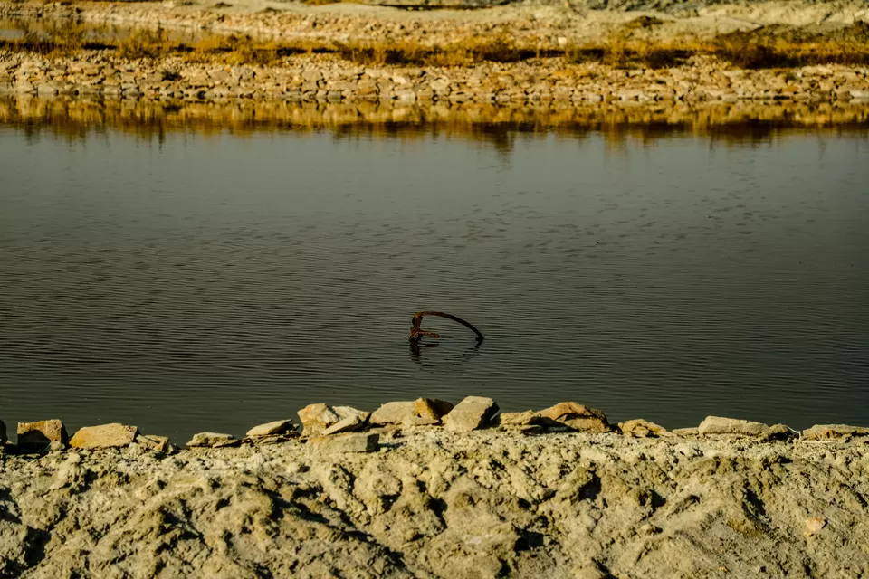 Photo of Sambhar Salt Lake, Rajasthan by Kashish Lamba
