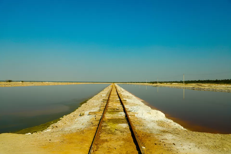 Photo of Sambhar Salt Lake, Rajasthan by Kashish Lamba