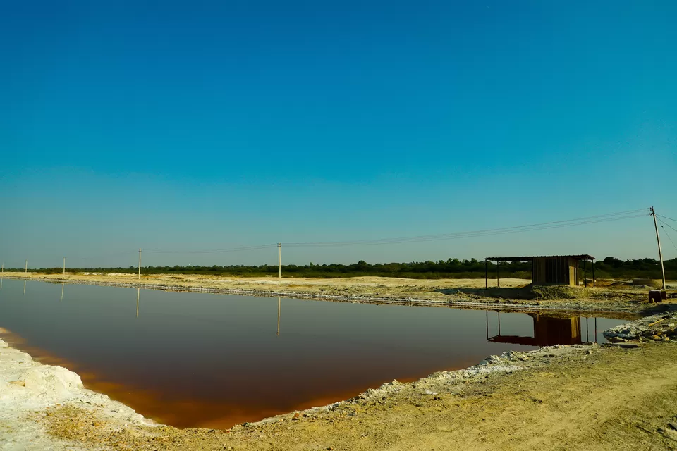 Photo of Sambhar Salt Lake, Rajasthan by Kashish Lamba