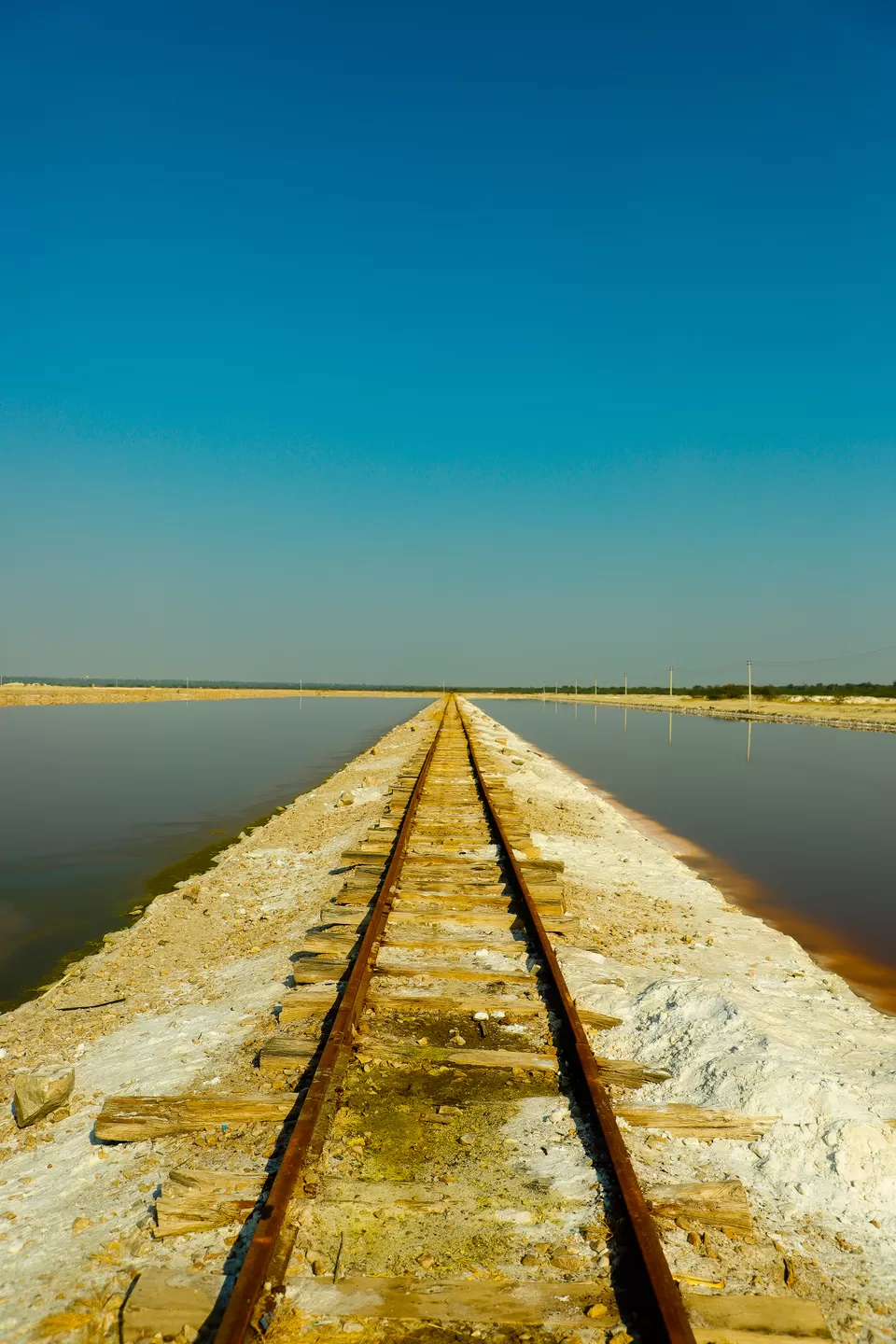 Photo of Sambhar Salt Lake, Rajasthan by Kashish Lamba