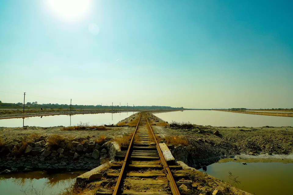 Photo of Sambhar Salt Lake, Rajasthan by Kashish Lamba