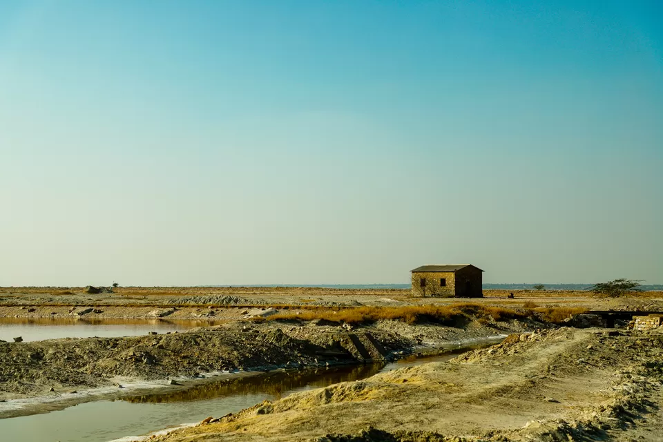 Photo of Sambhar Salt Lake, Rajasthan by Kashish Lamba
