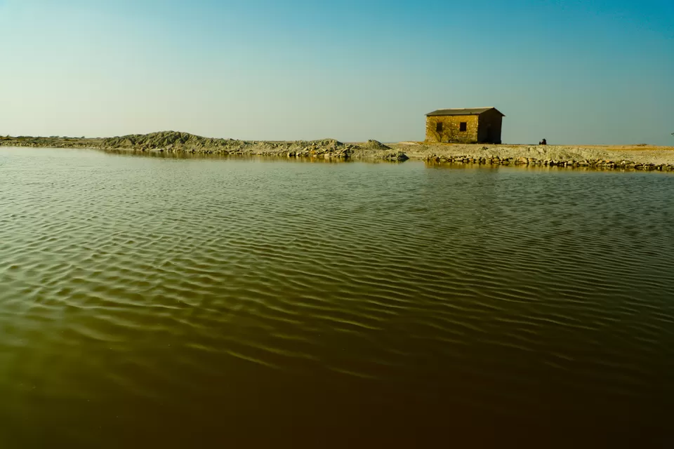 Photo of Sambhar Salt Lake, Rajasthan by Kashish Lamba